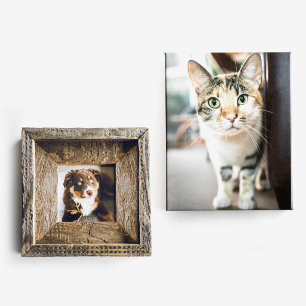 Gifts for Pet Lovers