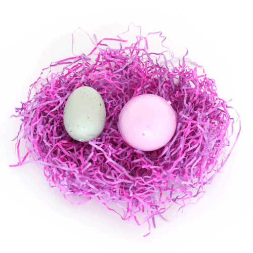 Easter Egg Hunt